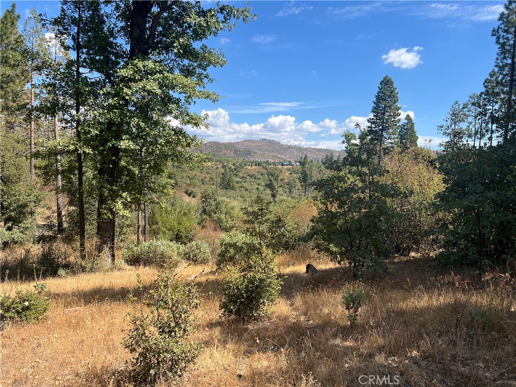 13477 Cirby Creek Road Oroville, CA 95965 - Photo 23 of 29