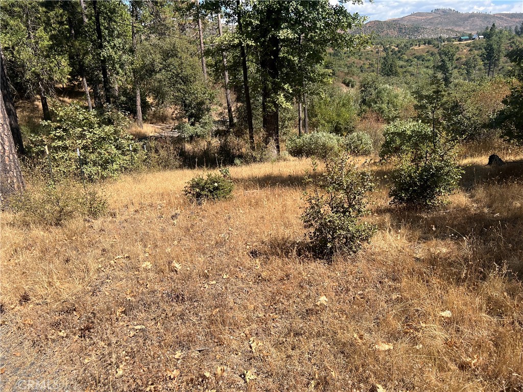 13477 Cirby Creek Road Oroville, CA 95965 - Photo 24 of 29