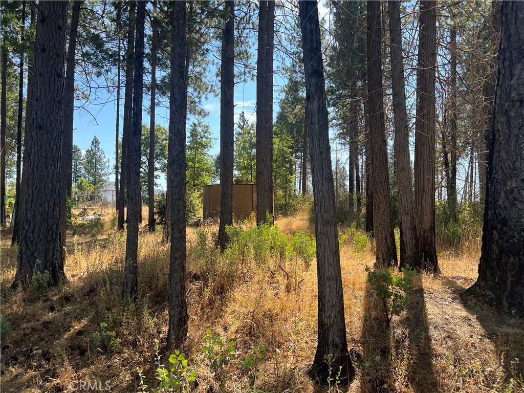 13477 Cirby Creek Road Oroville, CA 95965 - Photo 28 of 29