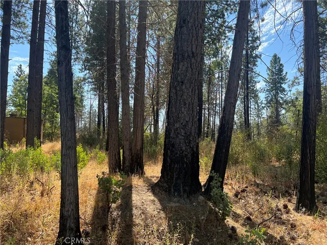 $75,000 | 13477 Cirby Creek Road, Oroville, CA 95965