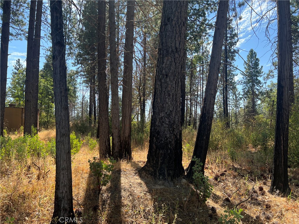 13477 Cirby Creek Road Oroville, CA 95965 - Photo 29 of 29