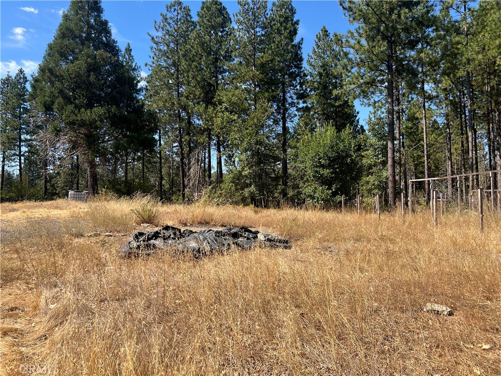 13477 Cirby Creek Road Oroville, CA 95965 - Photo 6 of 29