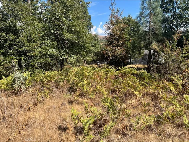 $75,000 | 13477 Cirby Creek Road, Oroville, CA 95965