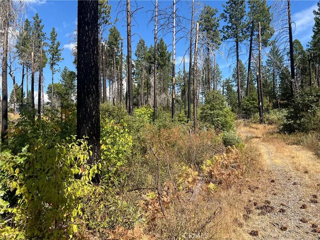 $75,000 | 13477 Cirby Creek Road, Oroville, CA 95965