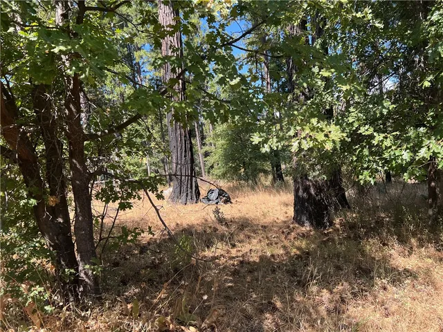 $75,000 | 13477 Cirby Creek Road, Oroville, CA 95965