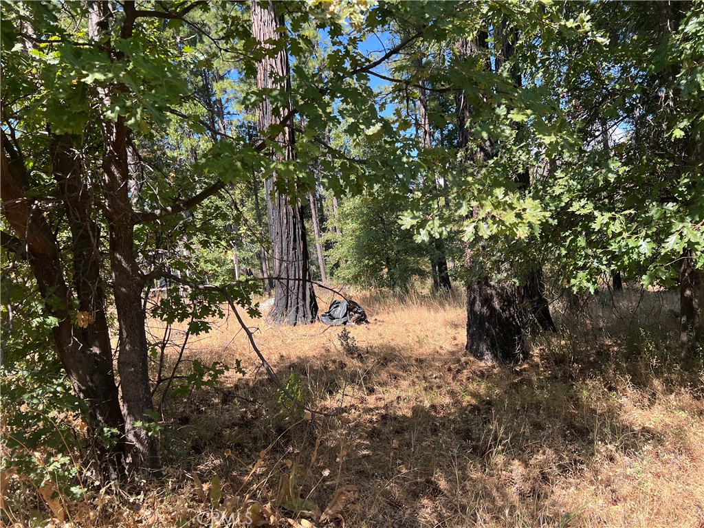 13477 Cirby Creek Road Oroville, CA 95965 - Photo 10 of 29