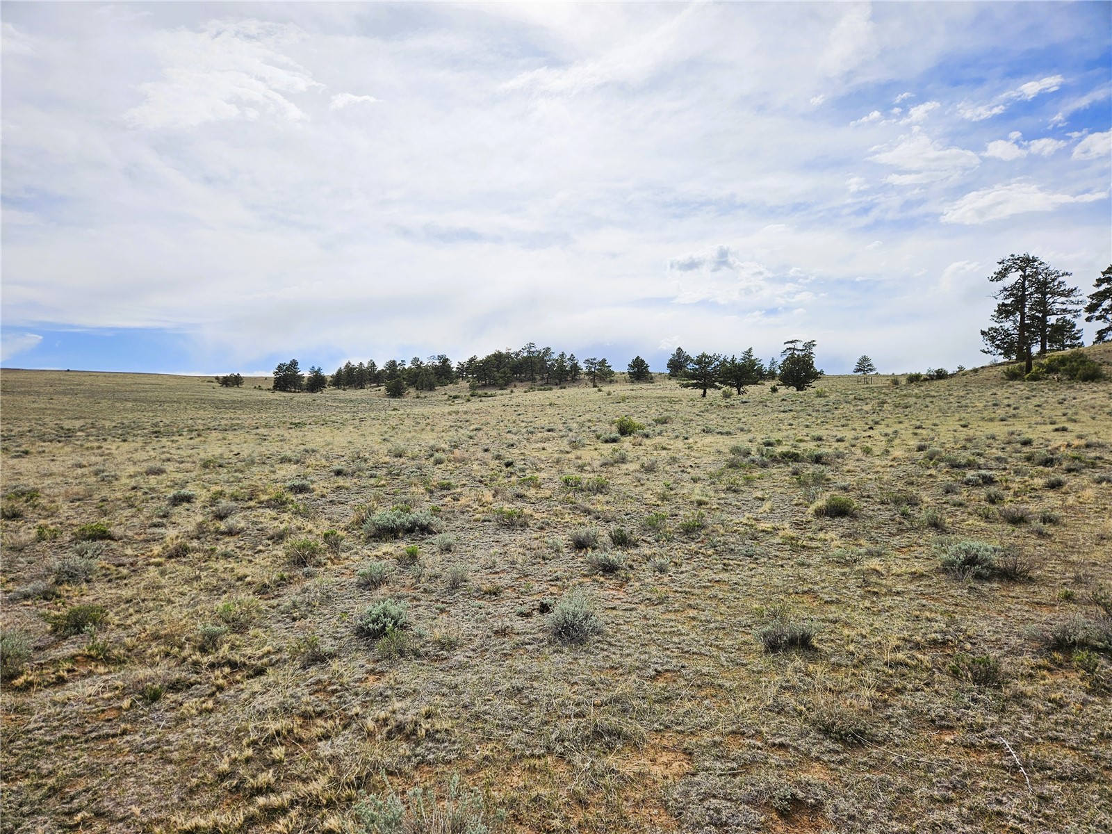 Pcs#24131 Chato Road Hartsel, CO 80449 - Photo 27 of 28