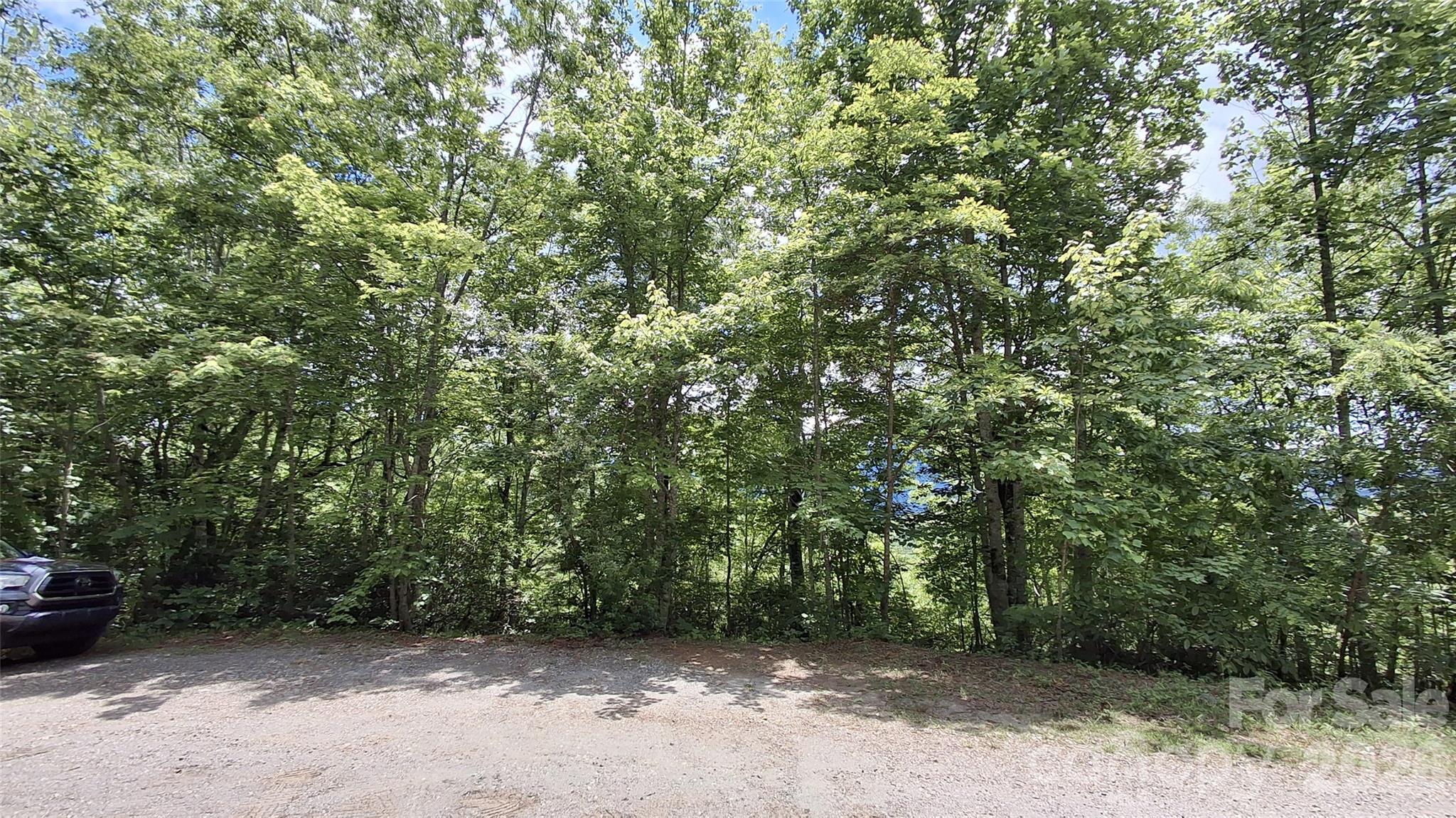 Lot 29 Signal Ridge, Unit 29 Sylva, NC 28779 - Photo 8 of 12