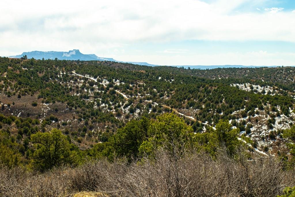 Tbd Turkey Run Trinidad, CO 81082 - Photo 15 of 60