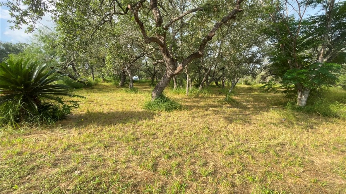 9514 Pvt Paisano Ranch Sinton, TX 78387 - Photo 2 of 2 Gallery Image 2