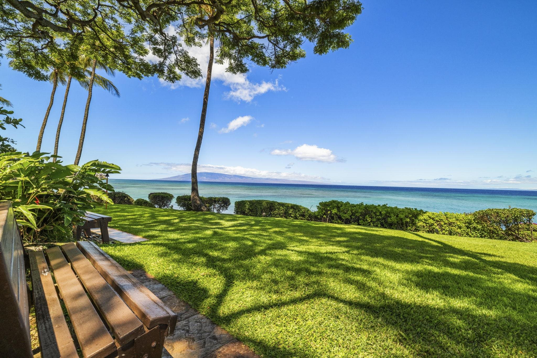 3959 Lower Honoapiilani Road, Unit A205 Lahaina, HI 96761 - Photo 24 of 36 a view of a yard with an outdoor space