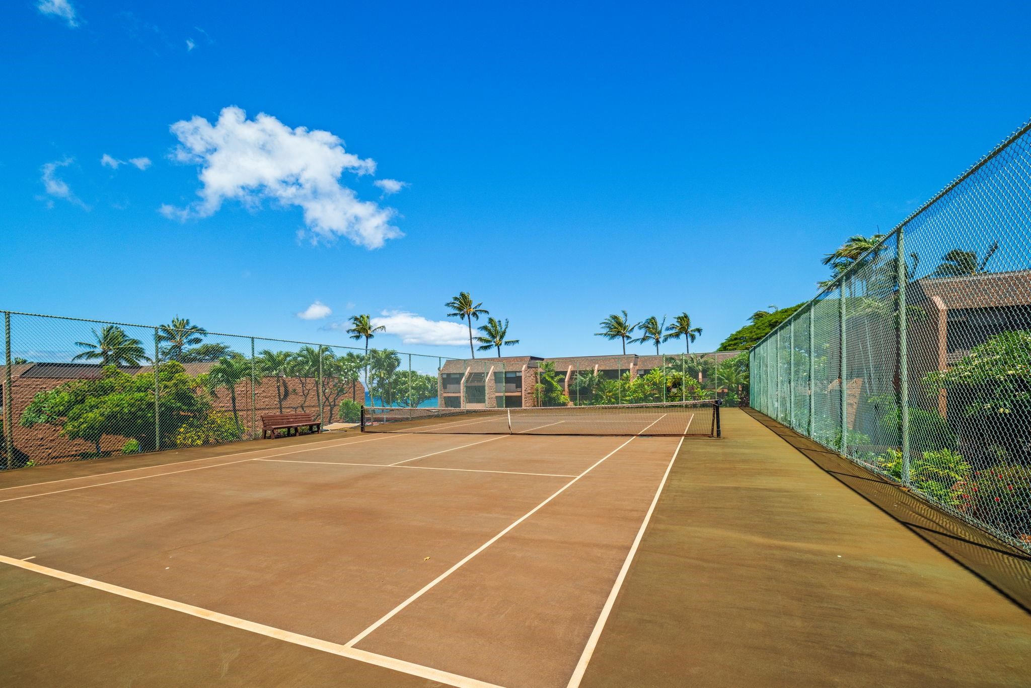 3959 Lower Honoapiilani Road, Unit A205 Lahaina, HI 96761 - Photo 25 of 36 a view of a tennis court