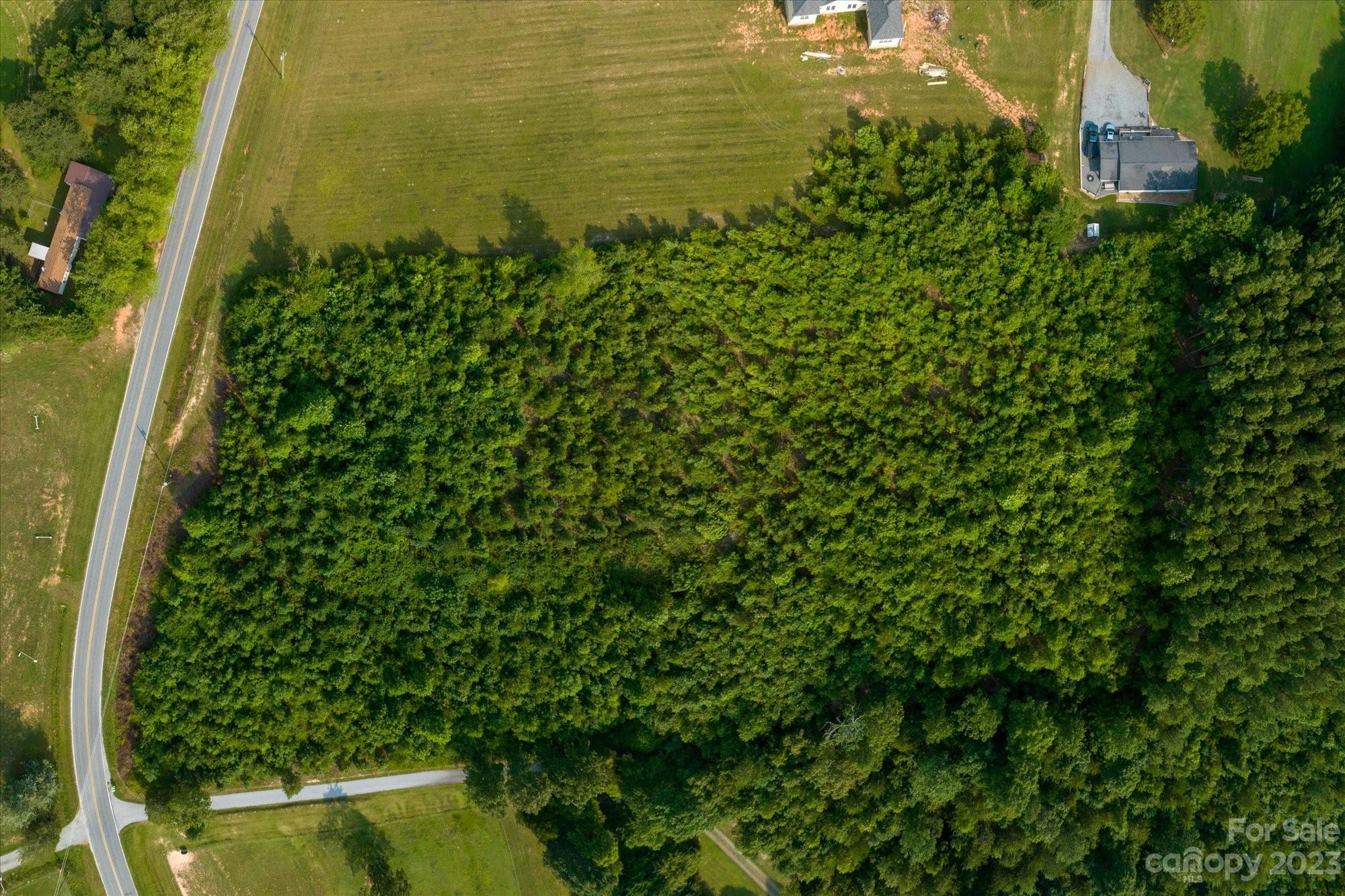 0 Bill Collins Road Tryon, NC 28782 - Photo 5 of 11 a view of a garden