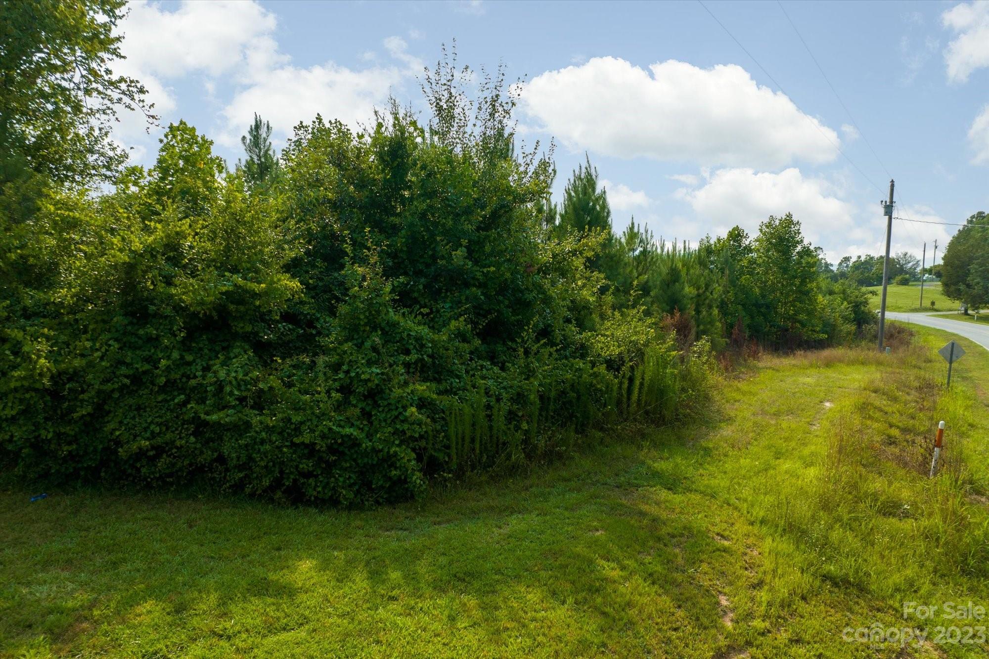 0 Bill Collins Road Tryon, NC 28782 - Photo 7 of 11 a view of a big yard with large trees