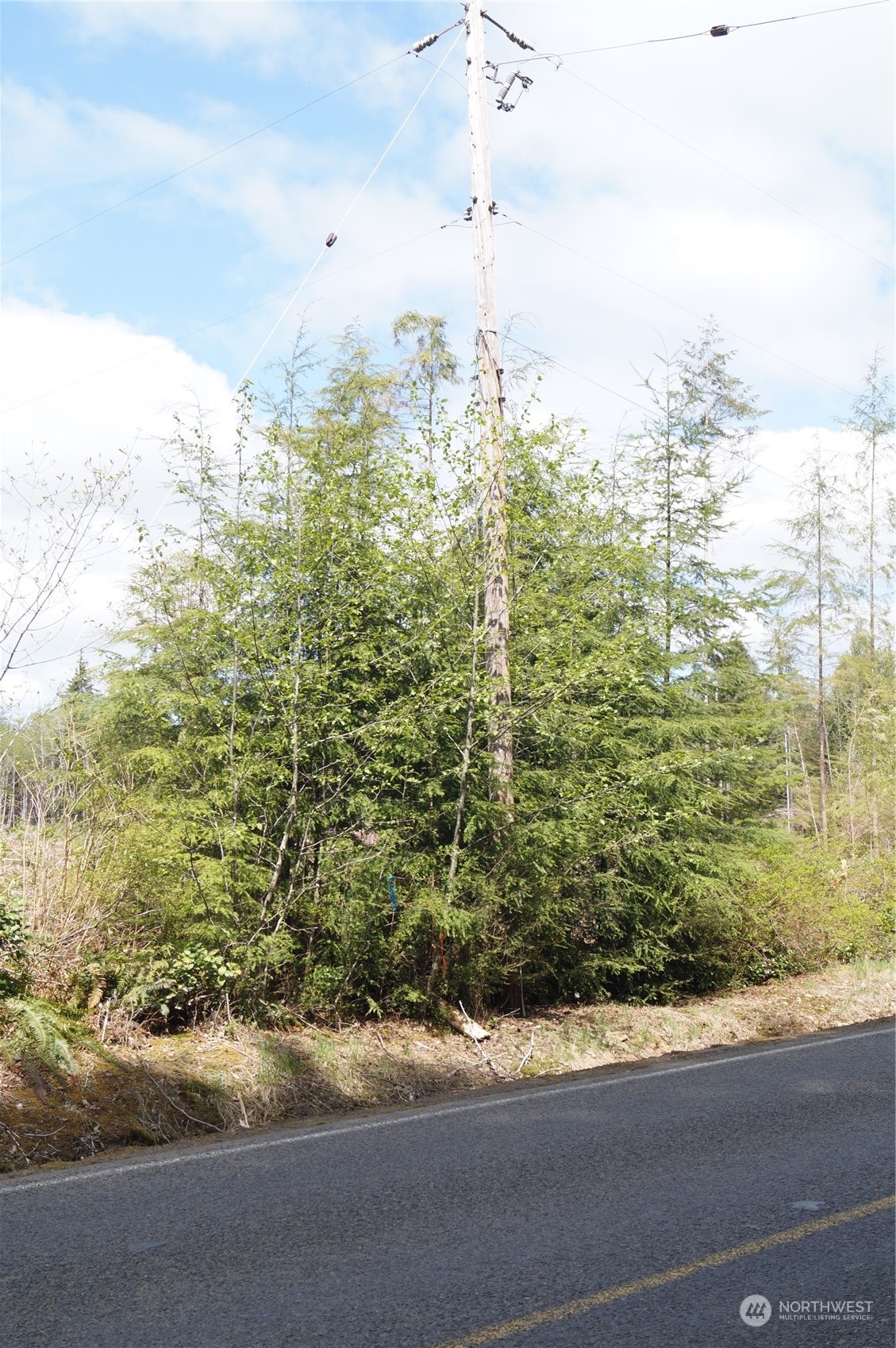 9.4 Kirkpatrick Road Hoquiam, WA 98550 - Photo 14 of 25 Gallery Image 14