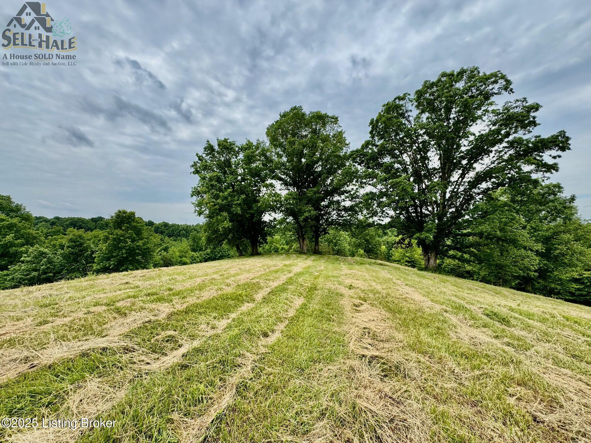 Tr3 Polin Road Willisburg, KY 40078 - Photo 5 of 14 IMG_2870