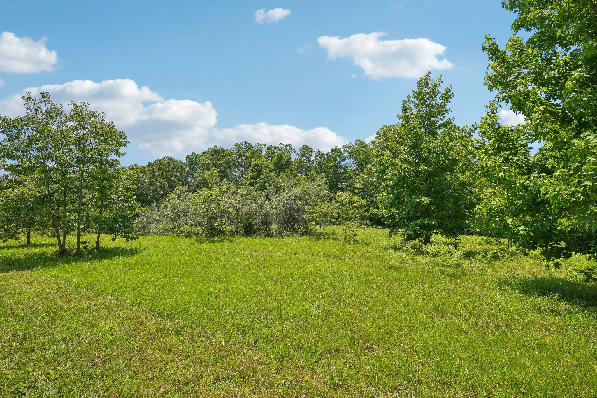 4501 West Tennessee City Road McEwen, TN 37101 - Photo 59 of 72