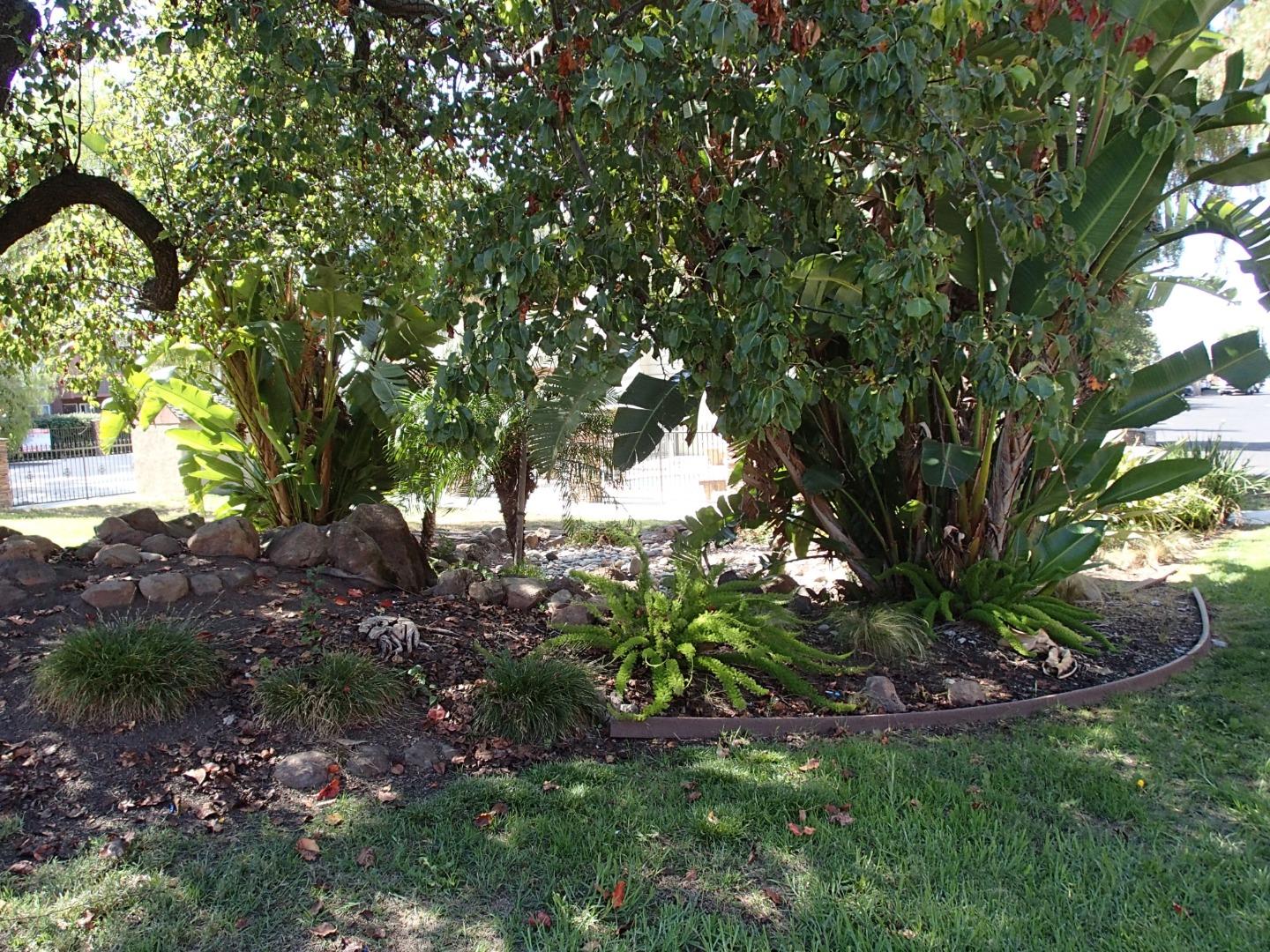 496 Dempsey Road, Unit 199 Milpitas, CA 95035 - Photo 39 of 41 a view of a tree in a backyard of a house