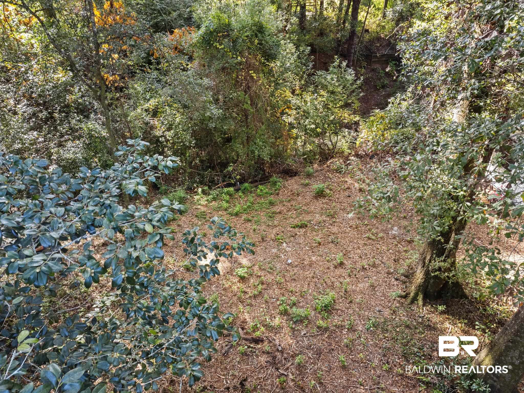 752 Evergreen Street Fairhope, AL 36532 - Photo 53 of 100 View of nature