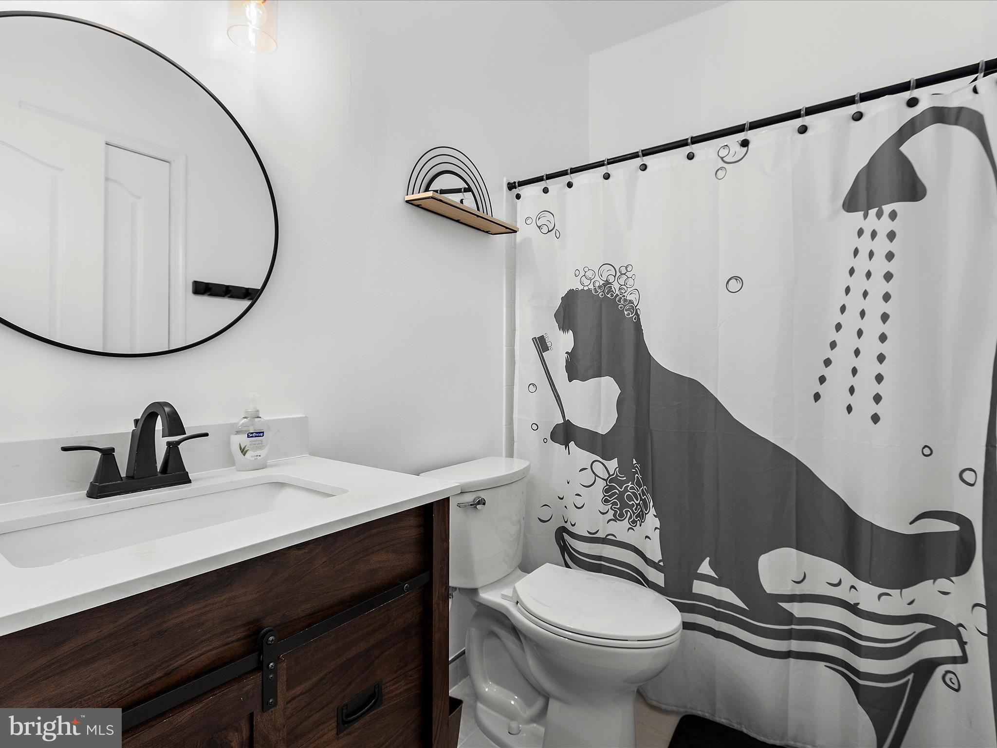 930 Mosby Drive Frederick, MD 21701 - Photo 27 of 52 a bathroom with a sink a toilet and a mirror