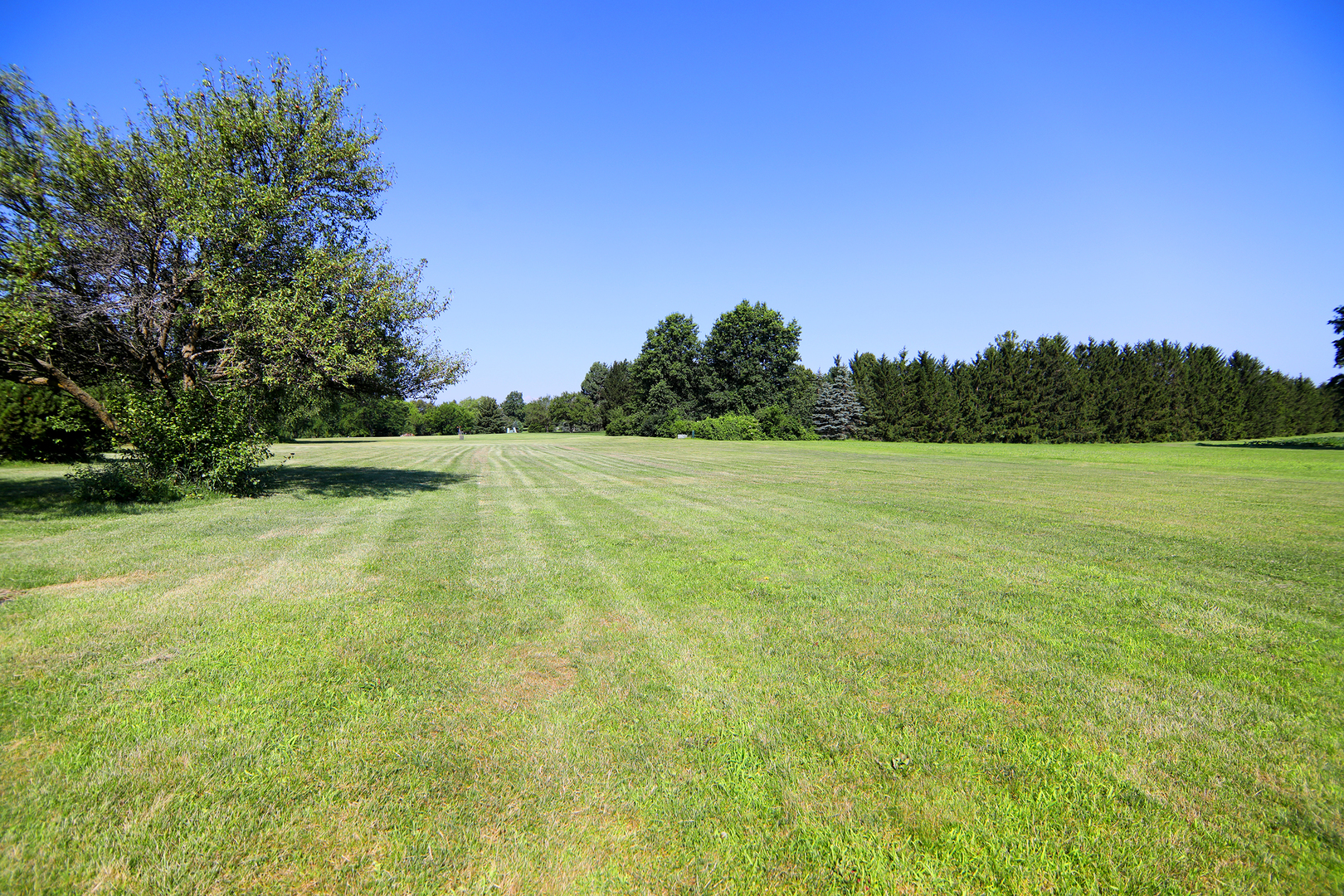26502 South Winfield Road Monee, IL 60449 - Photo 39 of 41