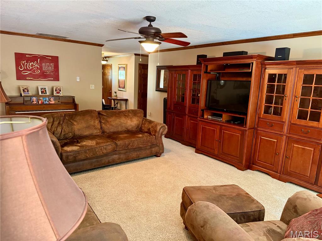 501 Pine Street Hillsboro, IL 62049 - Photo 5 of 36