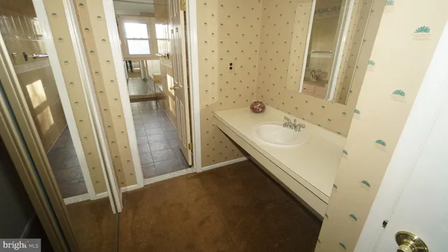 a bathroom with a sink a mirror and a shower