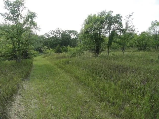 $134,500 | 5.24-acres Ringhand Road, Monticello, WI 53570