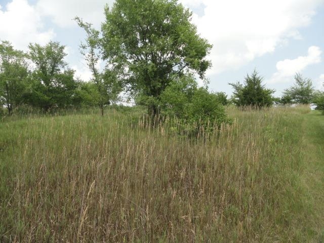 5.24-acres Ringhand Road Monticello, WI 53570 - Photo 25 of 79
