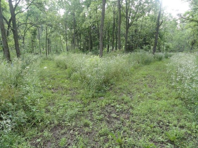 5.24-acres Ringhand Road Monticello, WI 53570 - Photo 32 of 79