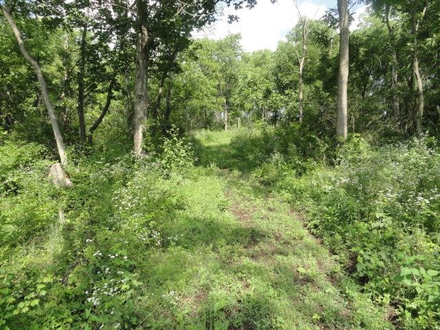 5.24-acres Ringhand Road Monticello, WI 53570 - Photo 34 of 79