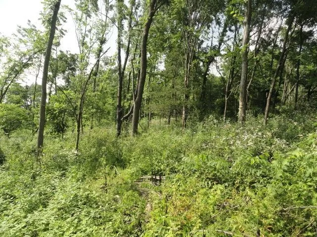 $134,500 | 5.24-acres Ringhand Road, Monticello, WI 53570
