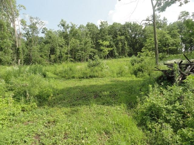 5.24-acres Ringhand Road Monticello, WI 53570 - Photo 37 of 79