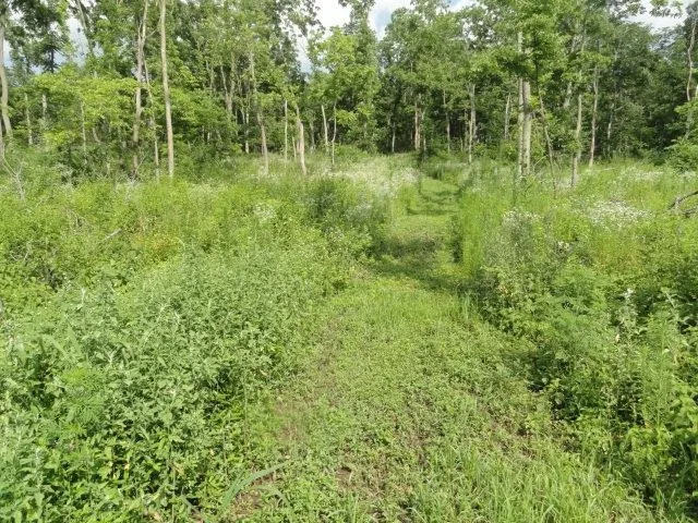 $134,500 | 5.24-acres Ringhand Road, Monticello, WI 53570