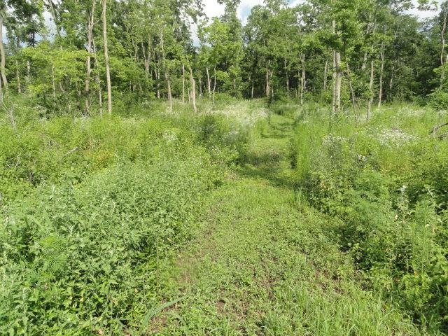 5.24-acres Ringhand Road Monticello, WI 53570 - Photo 39 of 79