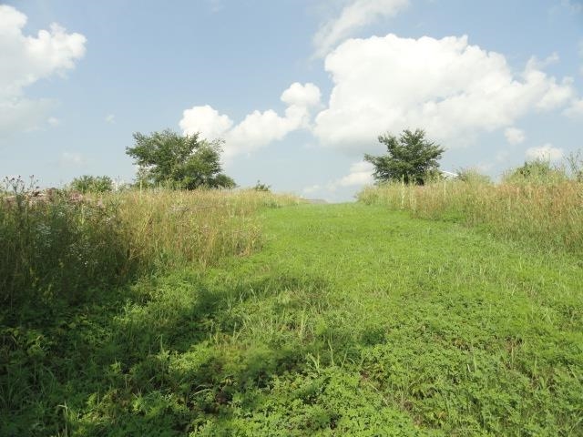 5.24-acres Ringhand Road Monticello, WI 53570 - Photo 42 of 79