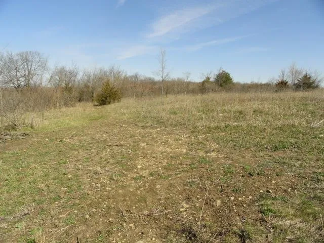 $134,500 | 5.24-acres Ringhand Road, Monticello, WI 53570