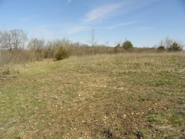 5.24-acres Ringhand Road Monticello, WI 53570 - Photo 58 of 79