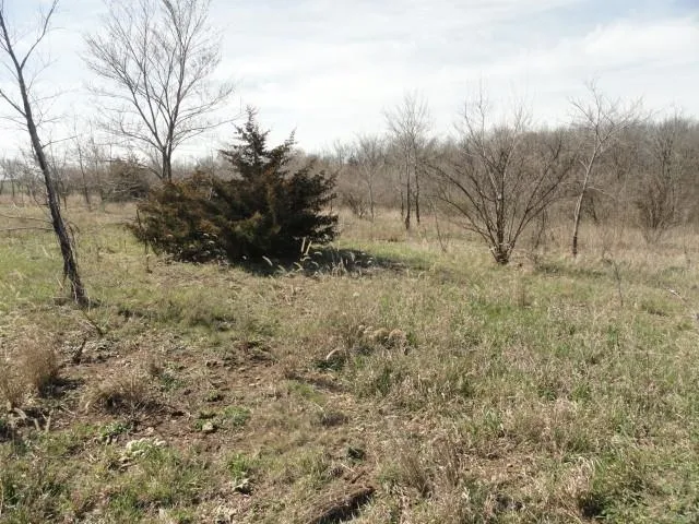 $134,500 | 5.24-acres Ringhand Road, Monticello, WI 53570