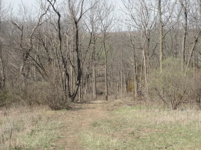 $134,500 | 5.24-acres Ringhand Road, Monticello, WI 53570