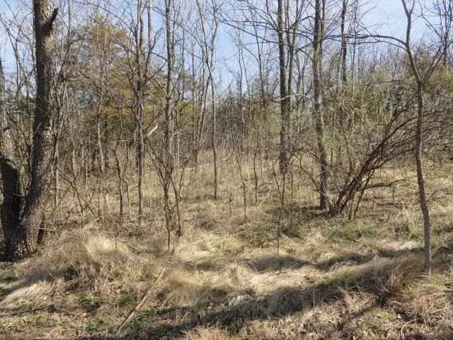$134,500 | 5.24-acres Ringhand Road, Monticello, WI 53570