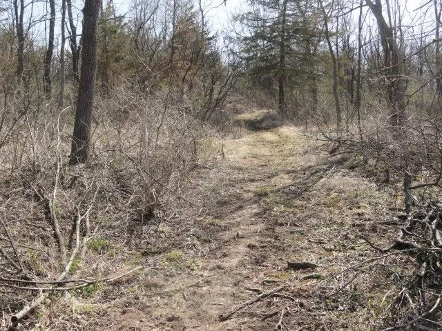 $134,500 | 5.24-acres Ringhand Road, Monticello, WI 53570