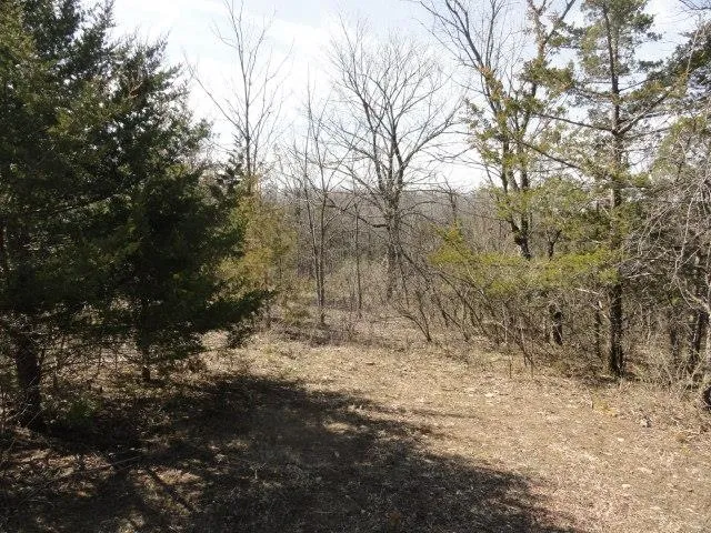 $134,500 | 5.24-acres Ringhand Road, Monticello, WI 53570