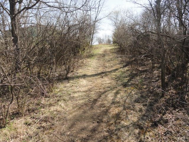 5.24-acres Ringhand Road Monticello, WI 53570 - Photo 75 of 79