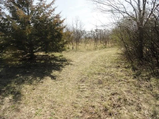 $134,500 | 5.24-acres Ringhand Road, Monticello, WI 53570