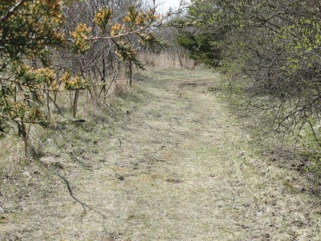 5.24-acres Ringhand Road Monticello, WI 53570 - Photo 78 of 79