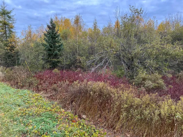 $210,000 | Map5-lot1 Silvers Mills Road, Sangerville, ME 04479