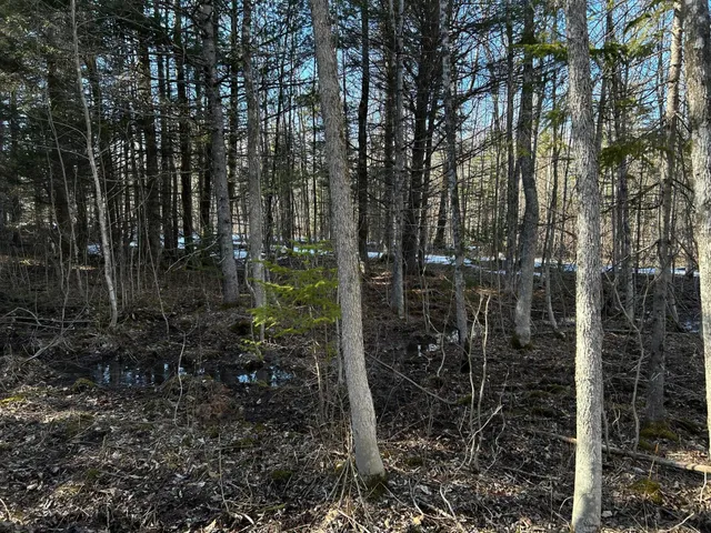 $210,000 | Map5-lot1 Silvers Mills Road, Sangerville, ME 04479