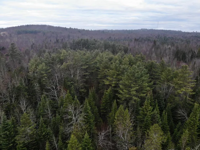 $210,000 | Map5-lot1 Silvers Mills Road, Sangerville, ME 04479