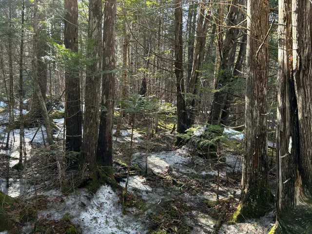$210,000 | Map5-lot1 Silvers Mills Road, Sangerville, ME 04479